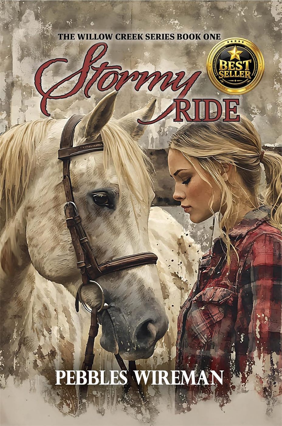 Cover of Stormy Ride
